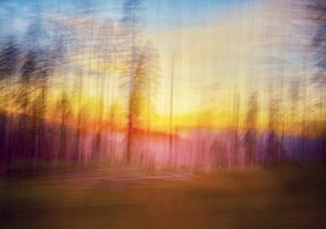 Yosemite ~ Whispering Memories of Peace