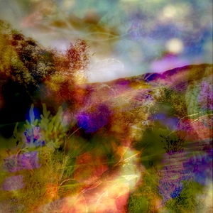 The Illuminated Path