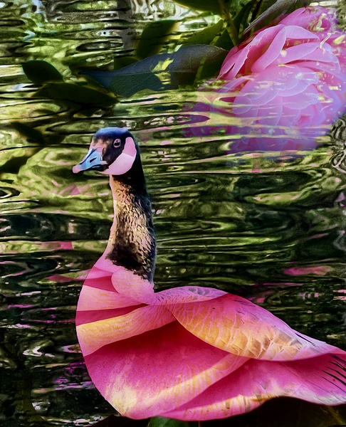 Mother Goose by Brigitte Center