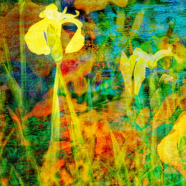 Joyous by Brigitte Center
