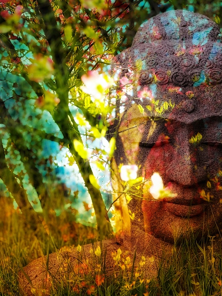 Siddhartha  by Brigitte Center