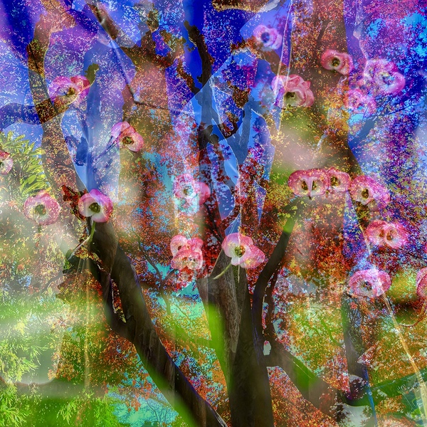 Possibilities by Brigitte Center