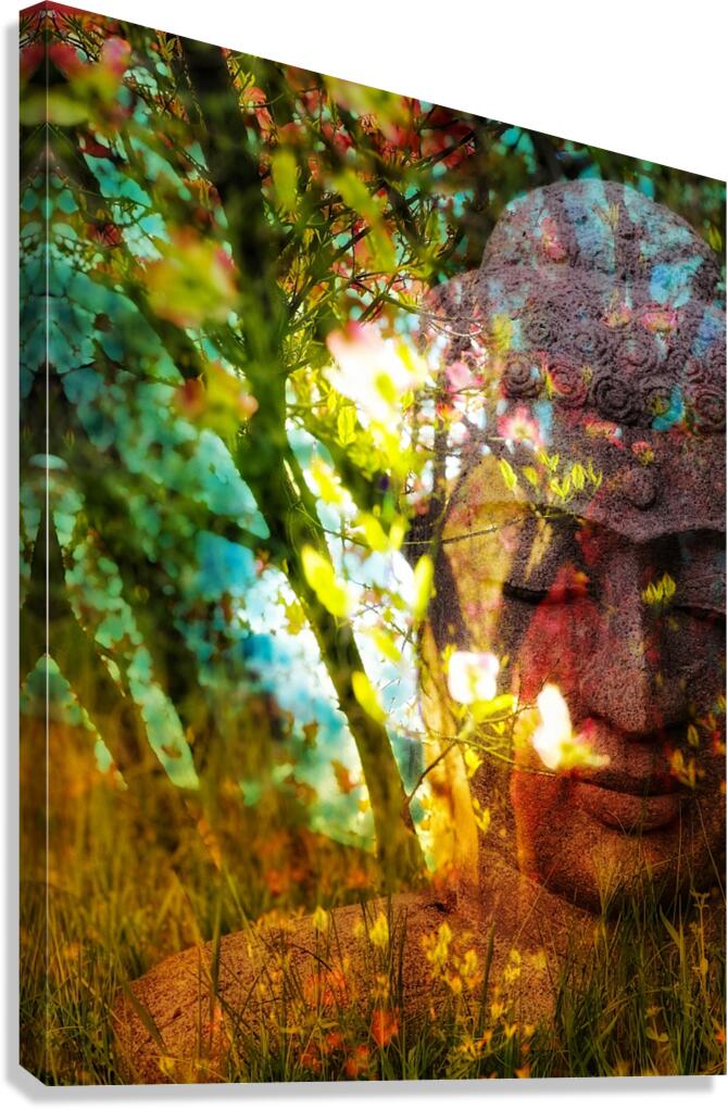 Siddhartha  Canvas Print