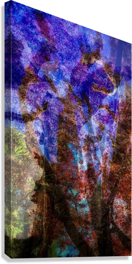 Community Canvas Print
