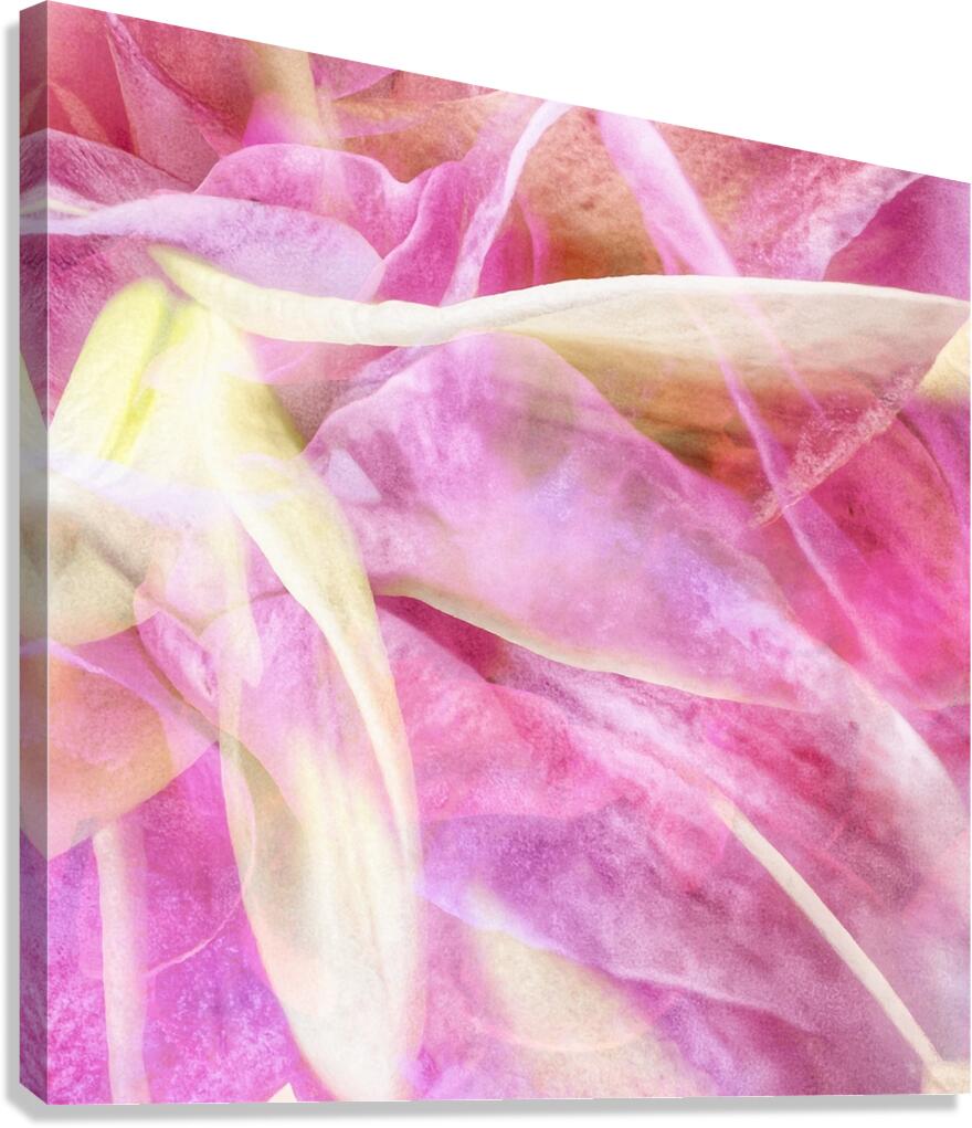Grace Canvas Print
