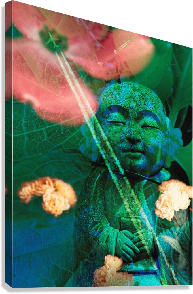 Detached Canvas Print