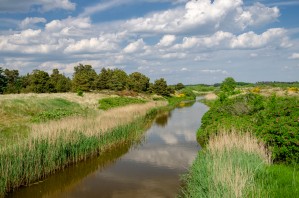Small stream  of water