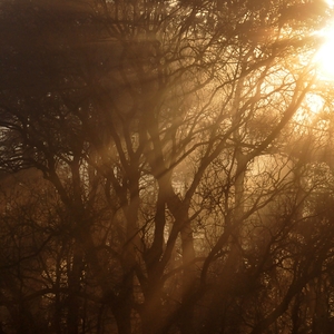 Streams of Light