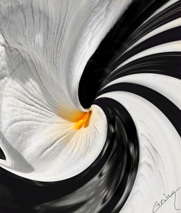 Path to Enlightenment  - Tranquil Art Print