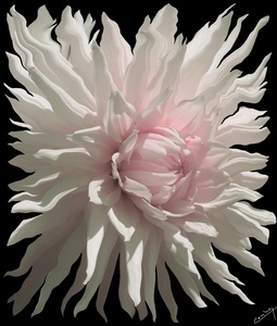 Twilight Rhapsody - Floral Art Print