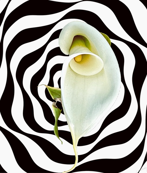Return to Innocence - Purity Art Print by Corina Ioana