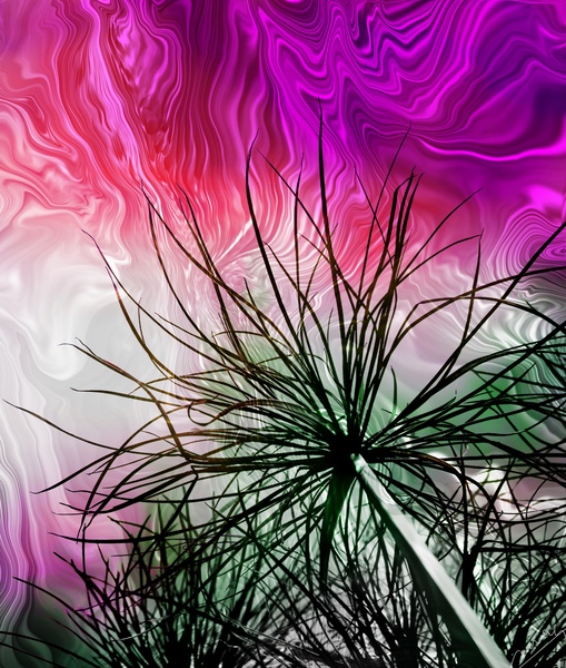Vibrant Energy – Purple Pink White & Green Art Print by Corina Ioana