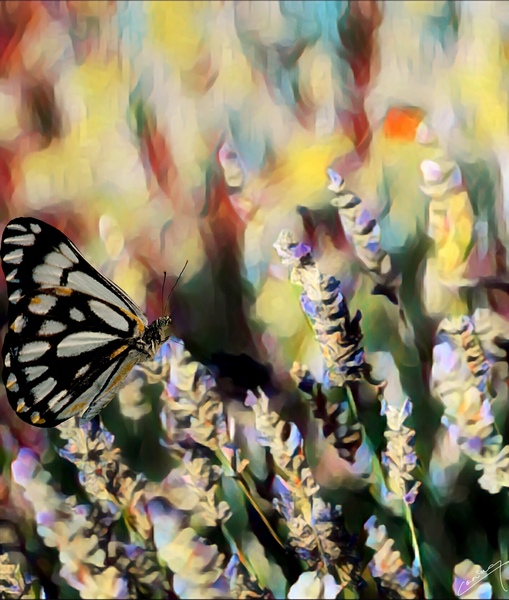 Fluttering Fantasia - Nature Art Print by Corina Ioana