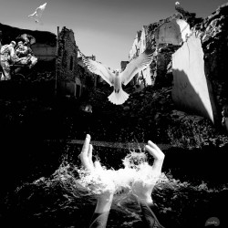 Resurgance RIsing Beyond the Ruins - Solo Show - 1 of 5