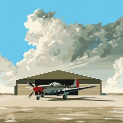Maverick’s Mustang - P-51