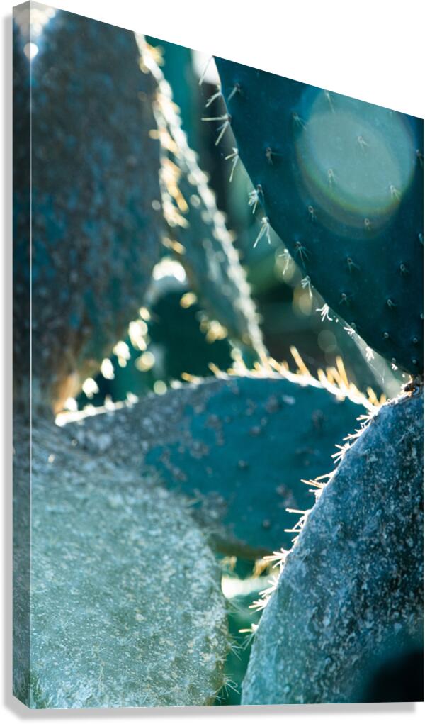Diamond Canvas Print