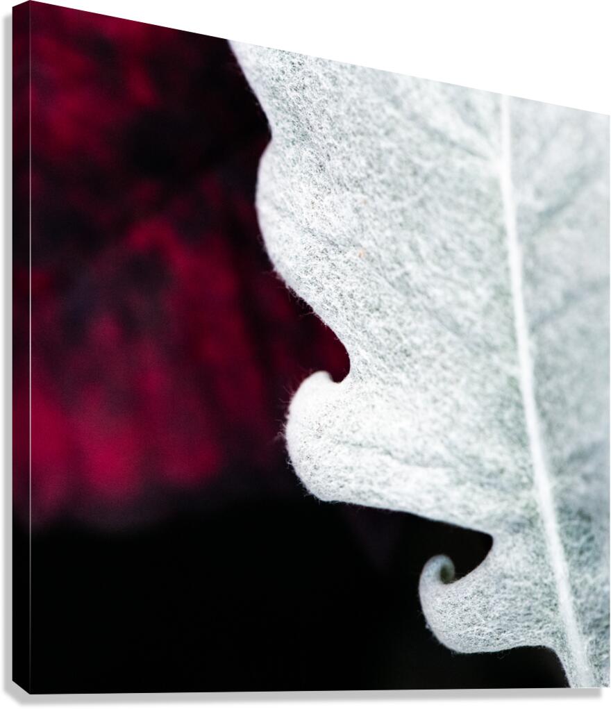 Smoke Canvas Print