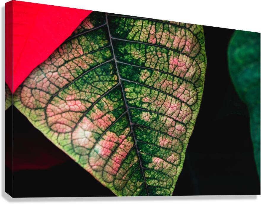 Leaf Quilting Canvas Print