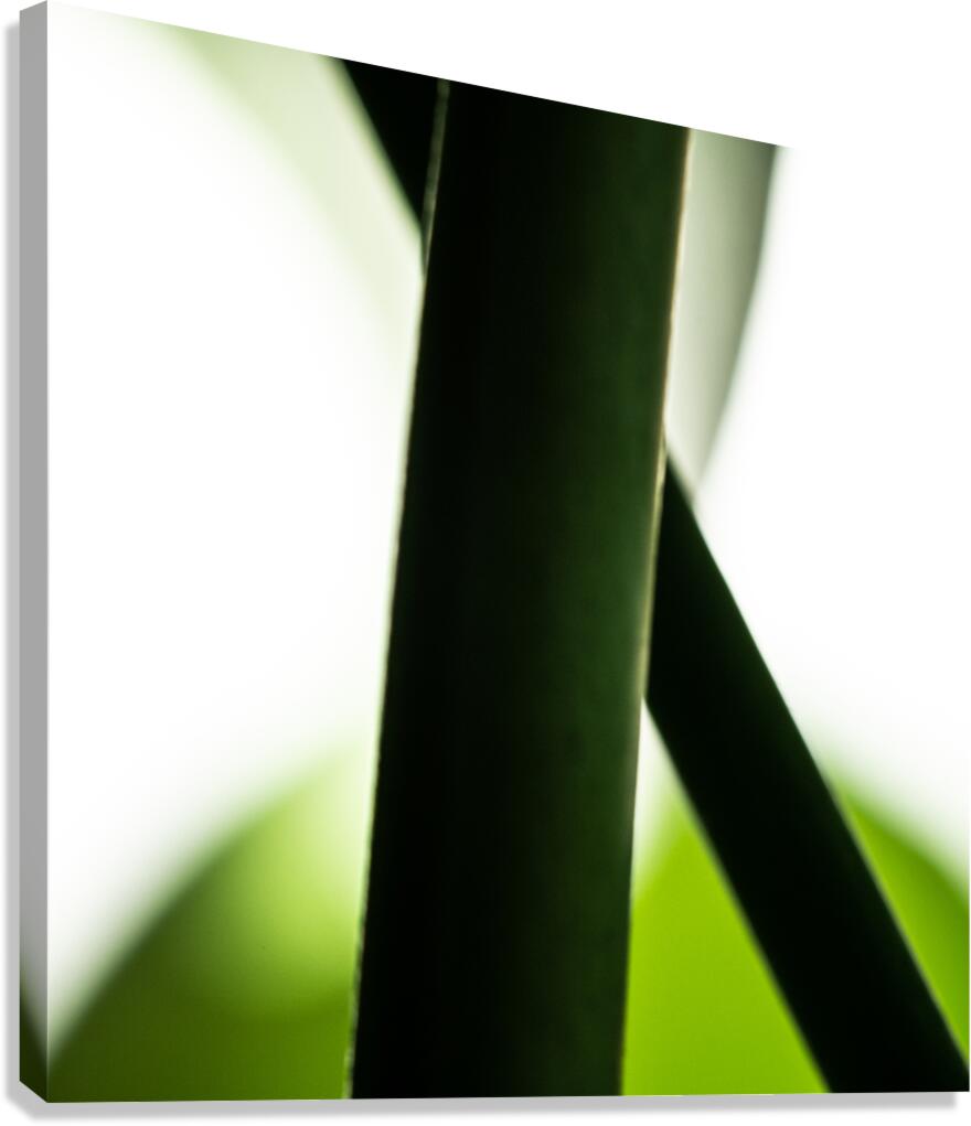 Quivering Essence Canvas Print