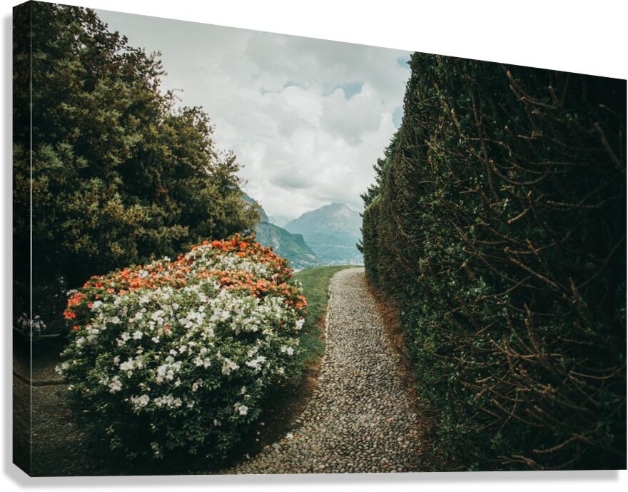 Path Through Garden Canvas Print