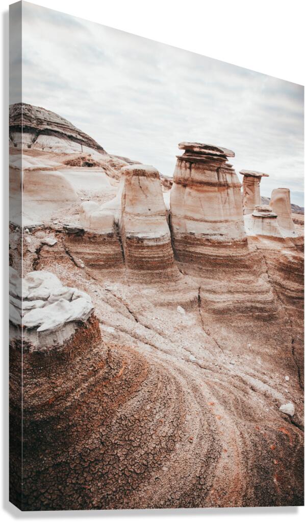 Time Capsule Canvas Print