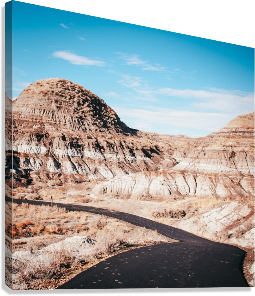 Path through Hoodoos Canvas Print