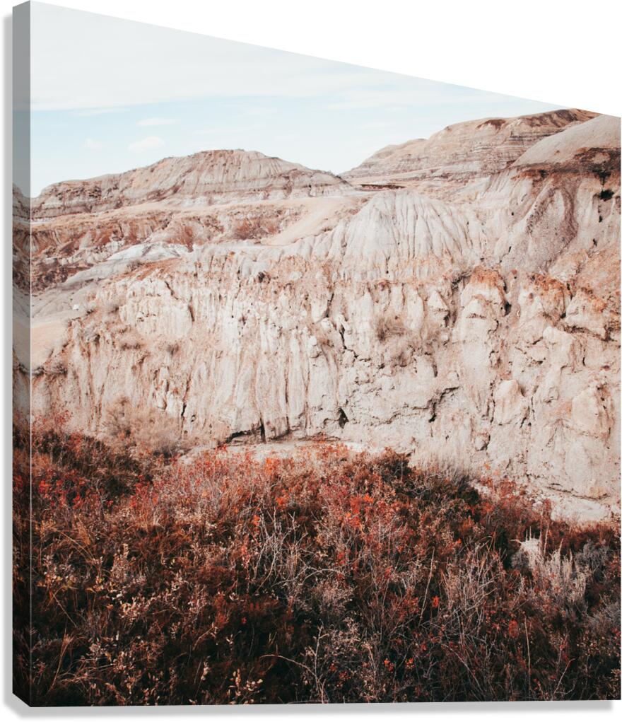 Drumheller Shrubs Canvas Print