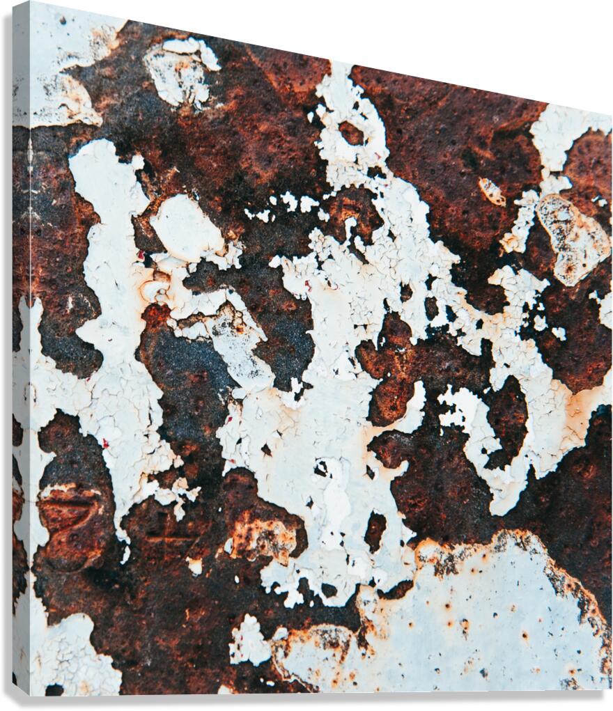 Rustic Cowhide Canvas Print