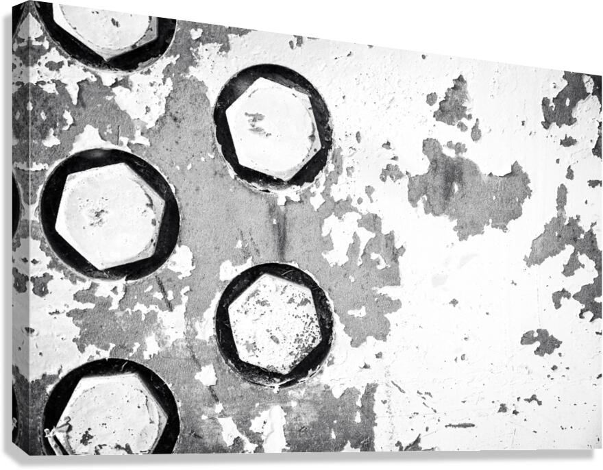 Moving Through Time Canvas Print