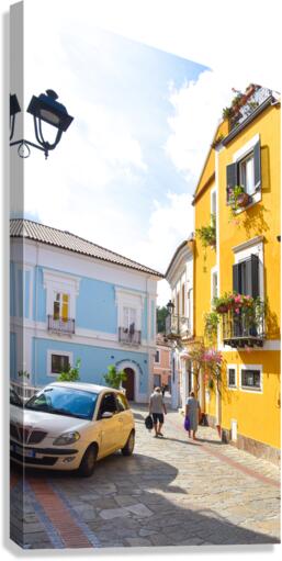 DSC 0441 Canvas Print