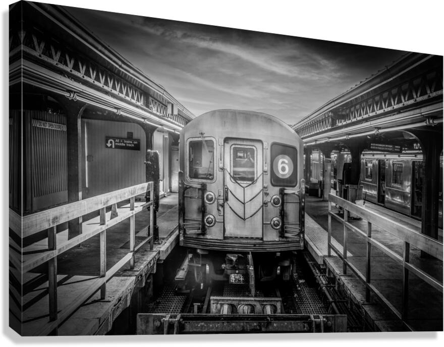 Arrival Canvas Print