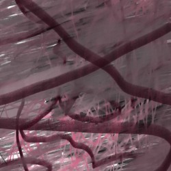 Illustration of  Greys and Black