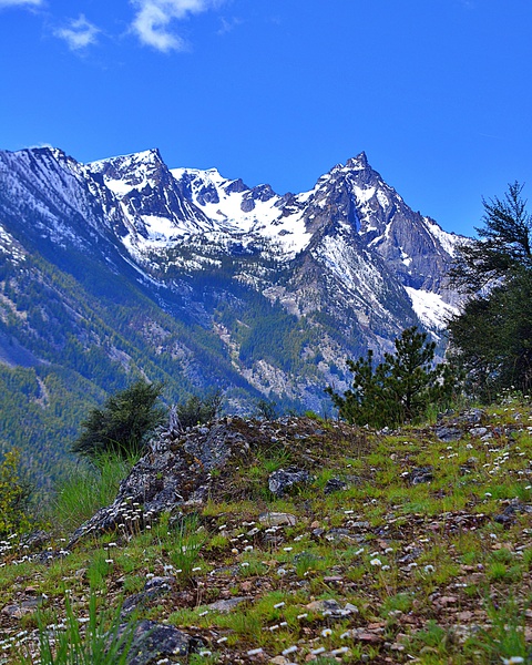 Trapper Peak Print