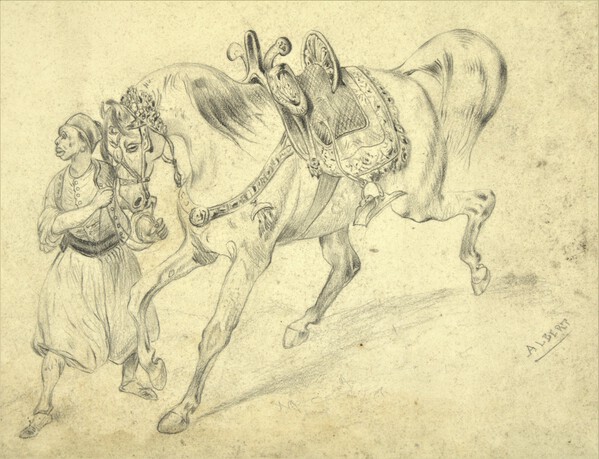 Zouave by Albert Syssau by sebastien syssau