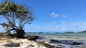 Seaside1