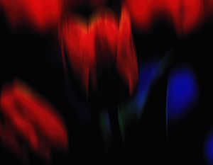 Abstract Bloom Blur   GIA2501 0442 ABS