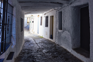 Alpujarrena Shadow - C1804-2845-REA