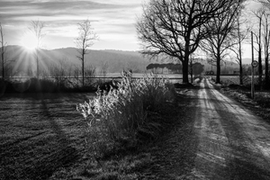 Symphony of Light in Black and White - CR2101-4373-BW
