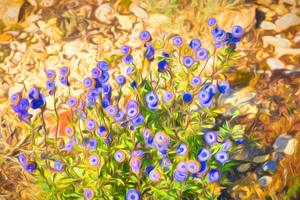 Impressionist dance of wildflowers - CR2102-4764-OIL
