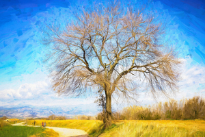Valley Watcher on the Road - CR2103-4772-OIL 