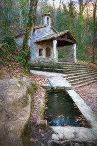 Hermitage lost in the forest - CR2202-6798-PIN