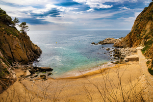 Hidden Cove - CR2204-6937-ORT