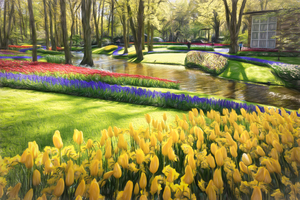 Radiant Tulip Paradise - CR2305-9209-OIL
