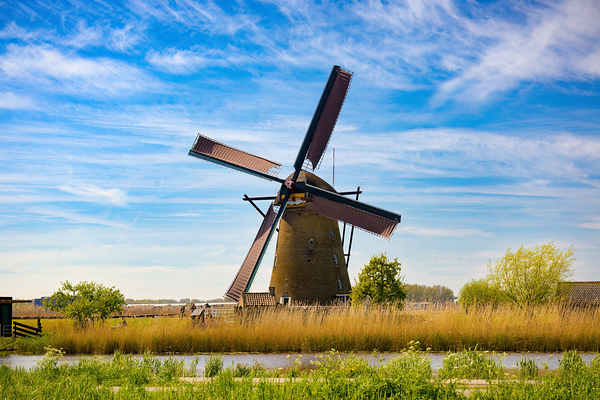 Dutch Giants - CR2305-9243-WAT Print
