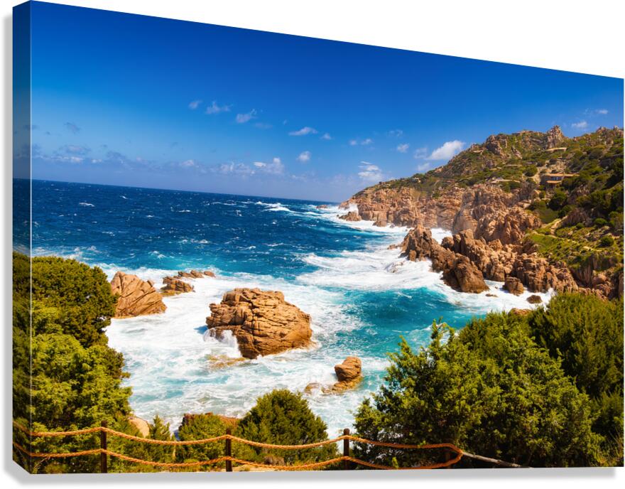 Wild Beauty - CR2405-0575-REA Canvas Print