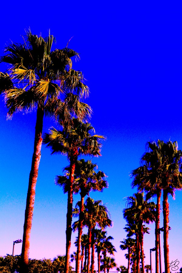 Sweaty Palms Part 2  Print