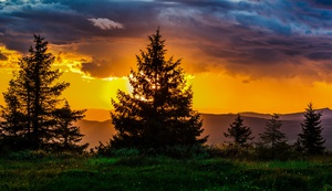 Beautiful nature landscape