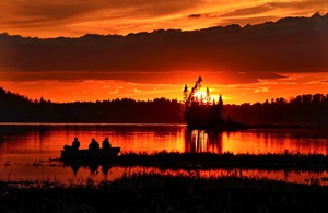 Beautiful nature landscape