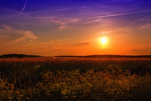Beautiful nature landscape
