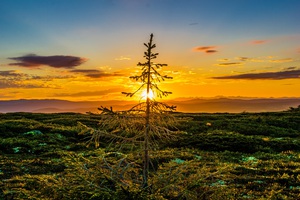 Beautiful nature landscape